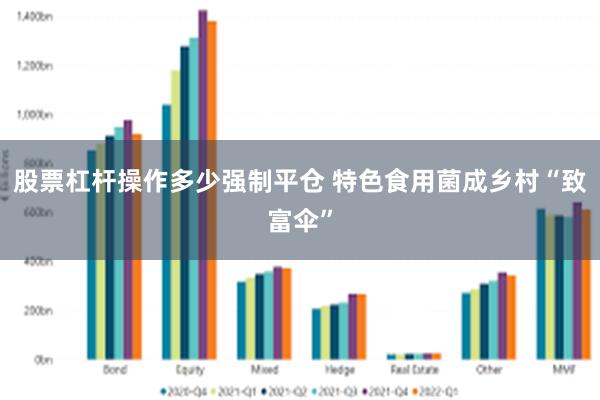 股票杠杆操作多少强制平仓 特色食用菌成乡村“致富伞”