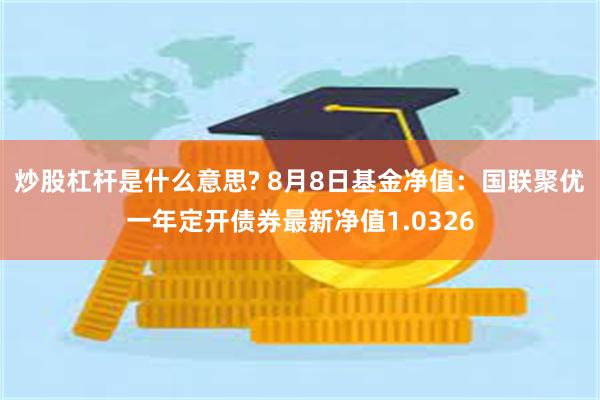 炒股杠杆是什么意思? 8月8日基金净值：国联聚优一年定开债券最新净值1.0326