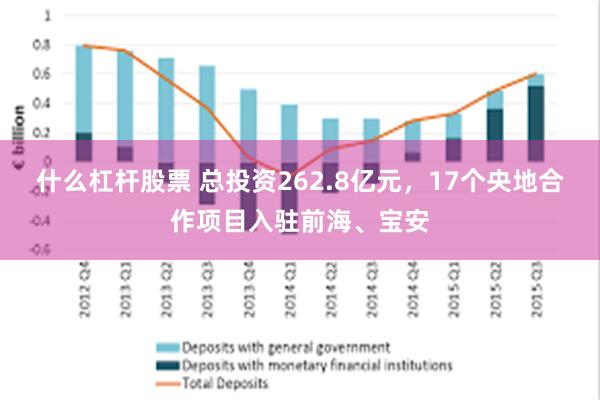 什么杠杆股票 总投资262.8亿元，17个央地合作项目入驻前海、宝安