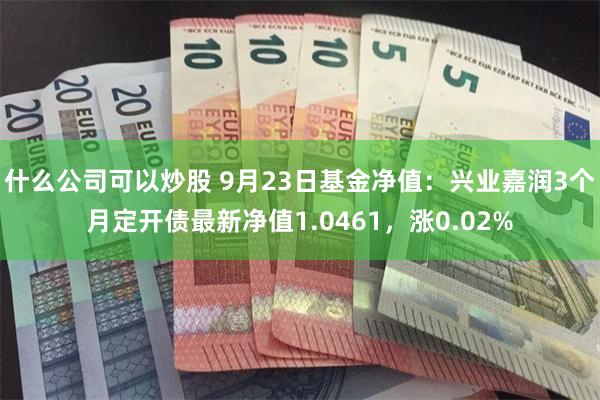 什么公司可以炒股 9月23日基金净值：兴业嘉润3个月定开债最新净值1.0461，涨0.02%