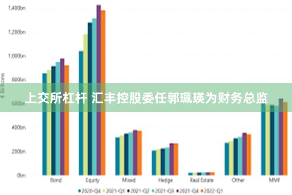 上交所杠杆 汇丰控股委任郭珮瑛为财务总监