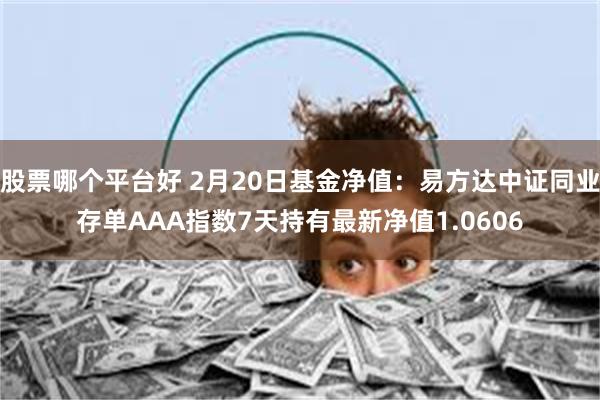 股票哪个平台好 2月20日基金净值：易方达中证同业存单AAA指数7天持有最新净值1.0606